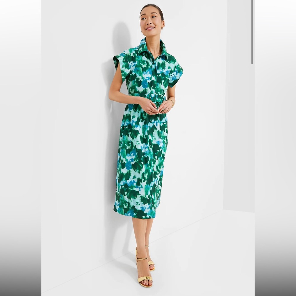 Tuckernuck Chloe dress